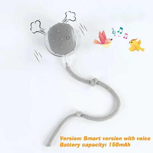 Smart Rolling Dog Ball – Rechargeable Interactive Toy for Puppies