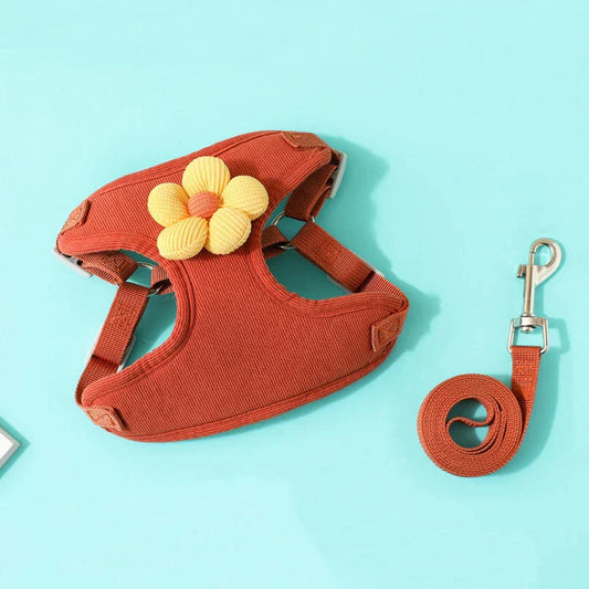 Adjustable Dog Harness & Leash Set – 1.2m Lead for Small Pets