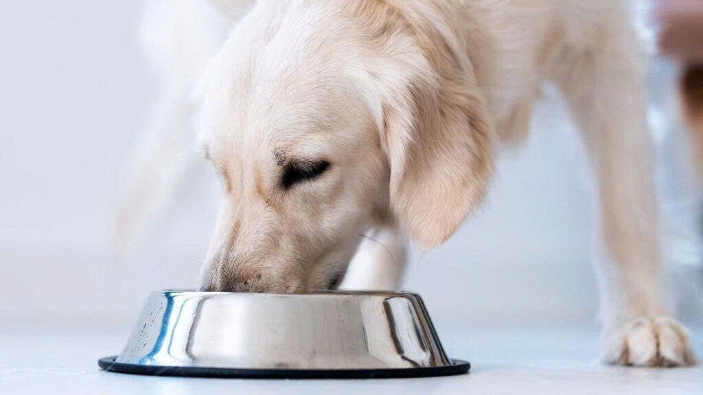 Feeding & Health Care