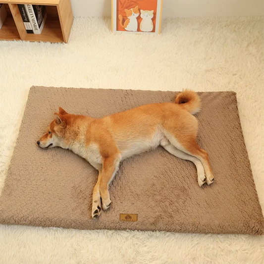 3D Foam Orthopedic Pet Bed – Waterproof with Removable Faux Fur Cover