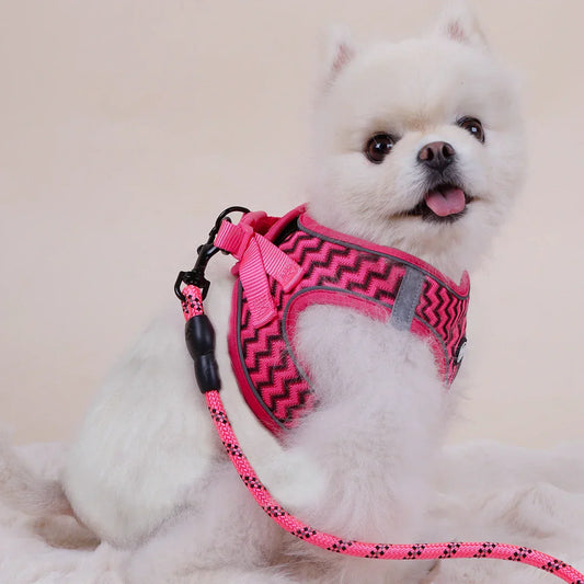 Supet Pet Chest Strap & Leash – Breathable Wave Pattern Vest for Cats & Small Dogs